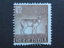 [Spotted Deer, type PE]