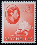 [Local Motives - Aldabra Giant Tortoise, වර්ගය V3]