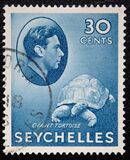 [Local Motives - Aldabra Giant Tortoise, වර්ගය V4]