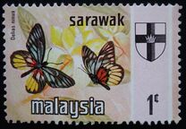 [Butterflies, տեսակ BR]