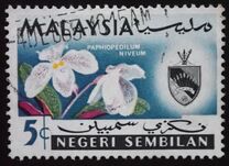 [Orchids, típus AD]