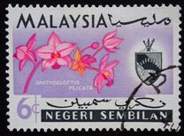 [Orchids, típus AE]