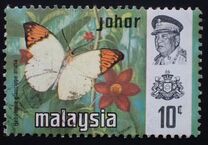 [Butterflies, type AY]