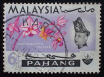 [Sultan Abu Bakar & Orchids, type AE]