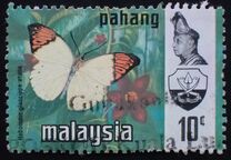 [Sultan Abu Bakar & Butterflies, type AM]