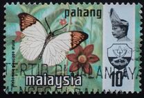 [Butterflies, tip AS]