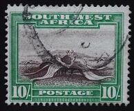 [Local Motifs, type AJ]
