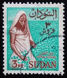 [Local Motives, Tüüp BG1]