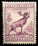 [Newfoundland Issue - New Colors and Values, tip DS1]
