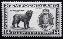 [King George VI`s Coronation, tegund FG]