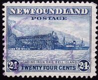 [Newfoundland Issue - New Colors and Values, tip ED1]