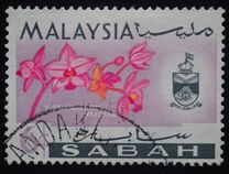 [Orchids, τύπος E]