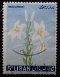 [Airmail - Flowers, type KS]