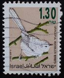 [Songbirds, type AUG]