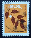 [No value expressed, סוג AFU]
