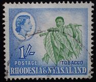 [Queen Elizabeth II, Local Motives, Typ N]