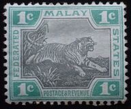[Tiger, tip C]