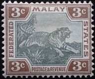 [Tiger, tip C1]