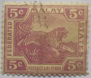 [Tiger - Different Watermark, type C48]