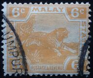 [Tiger - Different Watermark, type C50]