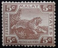 [Tiger - Different Watermark, type C49]