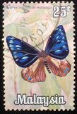 [Butterflies, tip AS]