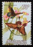 [Butterflies, tip AV]