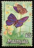 [Butterflies, tip AY]