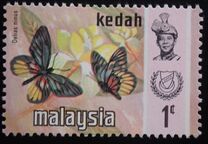 [Butterflies, type AT]