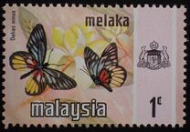 [Butterflies, type AM]