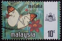 [Butterflies, type AQ]