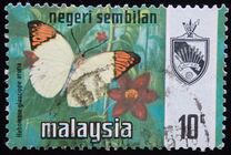 [Butterflies, type AO]