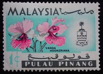 [Orchids, प्रकार AF]