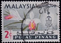 [Orchids, प्रकार AG]