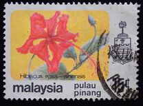 [Flowers, type AX]