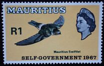 [Beginning of Self-government - Birds, type DT]