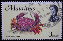 [Marine Life, տեսակ EY]