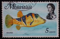 [Marine Life, տեսակ FA]