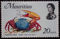 [Marine Life, տեսակ FD]