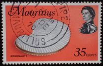 [Marine Life, տեսակ FG]