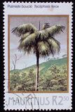 [Palm Trees, type OT]