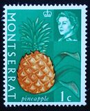 [Fruit & Vegetables with Portrait of Queen Elizabeth II, type BE]