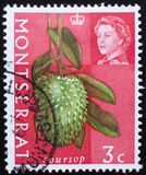 [Fruit & Vegetables with Portrait of Queen Elizabeth II, type BG]
