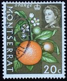 [Fruit & Vegetables with Portrait of Queen Elizabeth II, type BN]