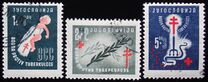 [The Fight Against Tuberculosis, Вид FO]