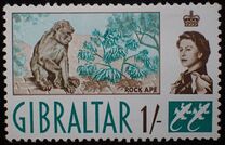[New Daily Stamps, 類型 BF]