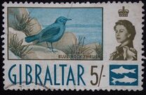 [New Daily Stamps, 類型 BH]