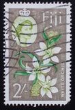 [Local Motives and Queen Elizabeth II, típus BX]