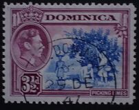 [King George VI and Local Motives, 类型 AB3]