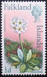 [Flowers, tegund CN]